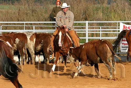 QH062_1231n.jpg