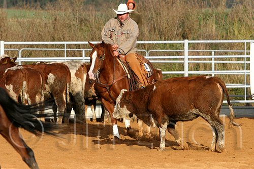QH062_1232n.jpg