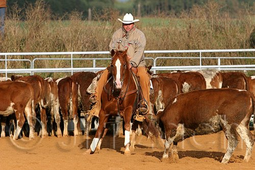 QH062_1233n.jpg