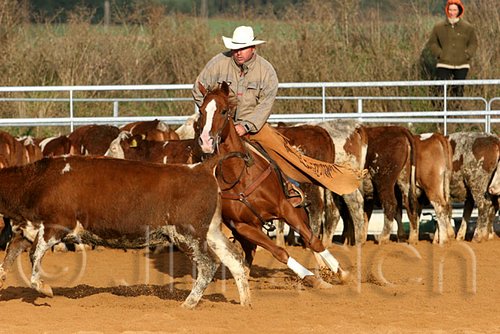 QH062_1235n.jpg