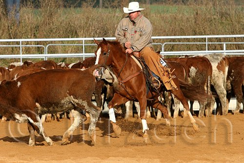 QH062_1236n.jpg