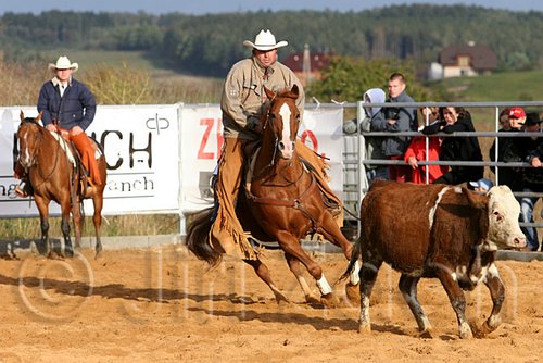 QH062_1240n.jpg