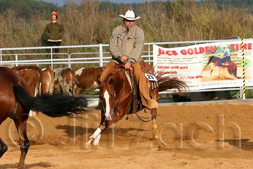 QH062_1242n.jpg