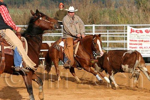 QH062_1252n.jpg