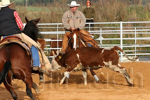 QH062_1254n.jpg