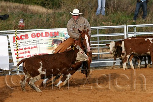 QH062_1256n.jpg