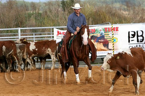 QH062_1262n.jpg