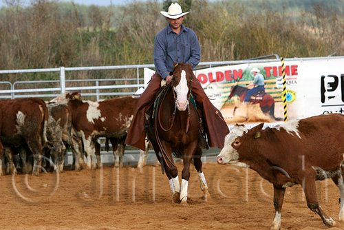 QH062_1263n.jpg