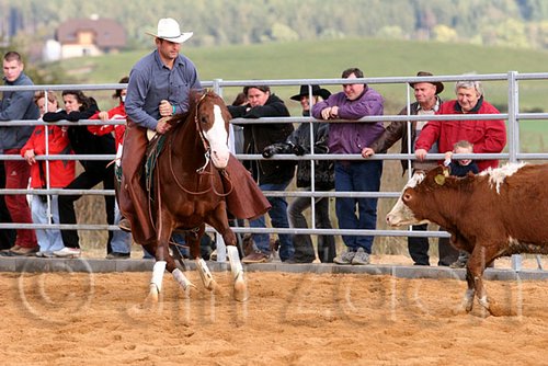 QH062_1264n.jpg