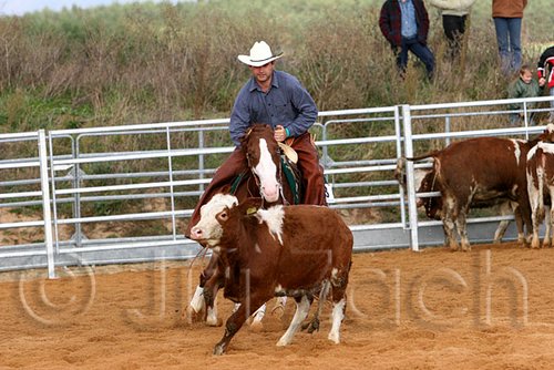 QH062_1265n.jpg