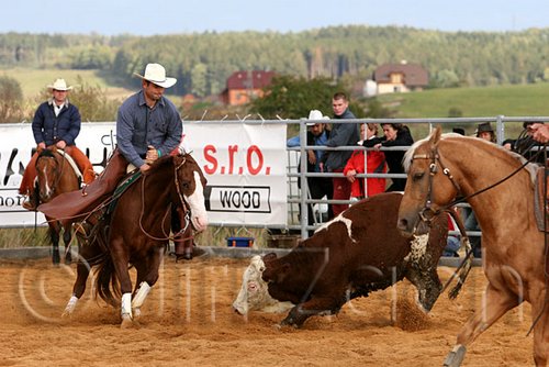 QH062_1271n.jpg
