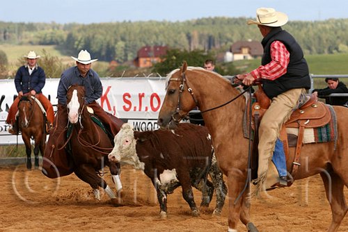 QH062_1272n.jpg
