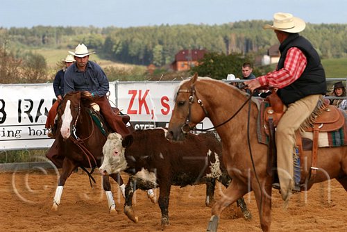 QH062_1273n.jpg