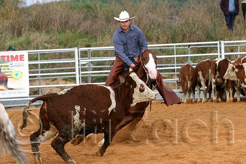 QH062_1275n.jpg