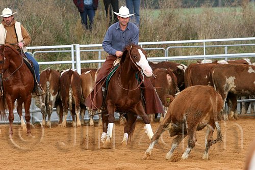 QH062_1279n.jpg
