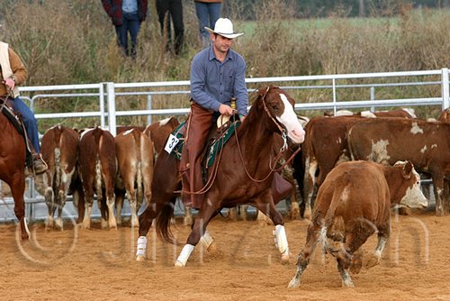 QH062_1280n.jpg