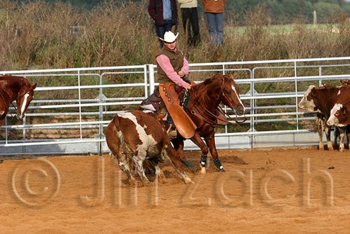 QH062_1297n.jpg