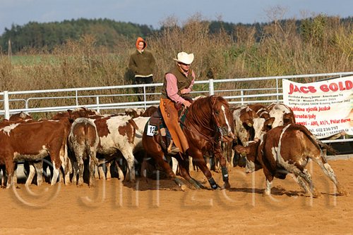 QH062_1301n.jpg