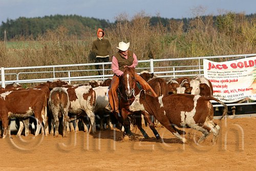 QH062_1302n.jpg