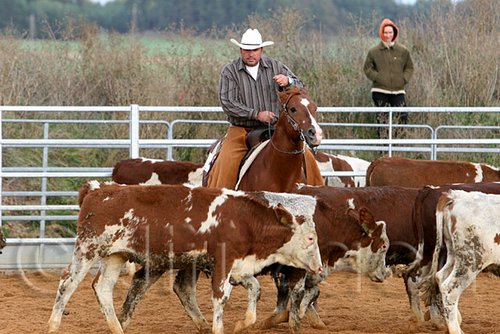 QH062_1303n.jpg