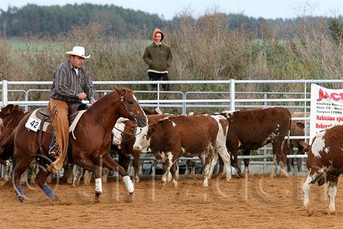 QH062_1304n.jpg