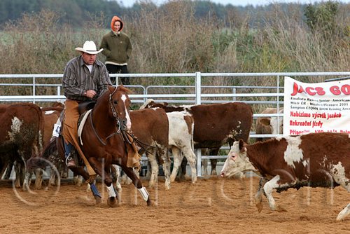 QH062_1306n.jpg