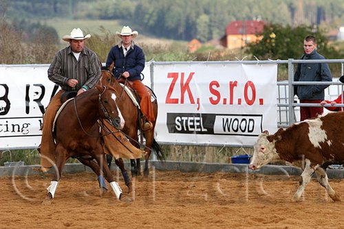 QH062_1310n.jpg