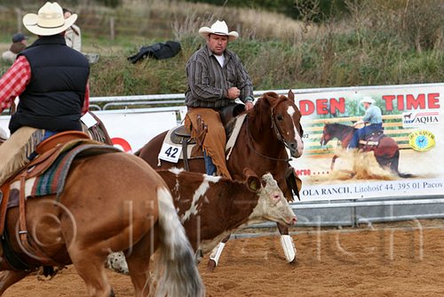 QH062_1311n.jpg