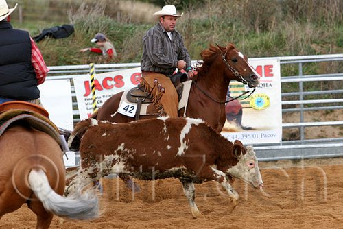 QH062_1312n.jpg