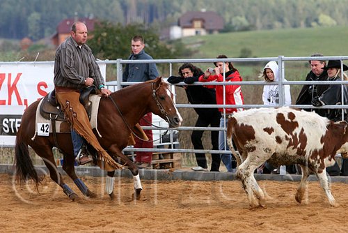 QH062_1314n.jpg