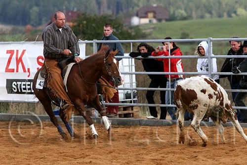 QH062_1315n.jpg