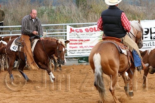 QH062_1324n.jpg