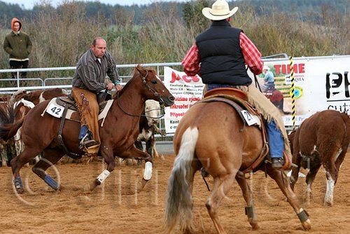 QH062_1325n.jpg