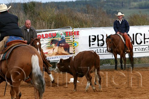 QH062_1326n.jpg