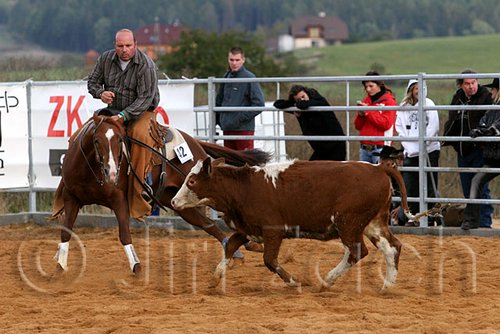 QH062_1329n.jpg