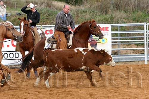 QH062_1331n.jpg