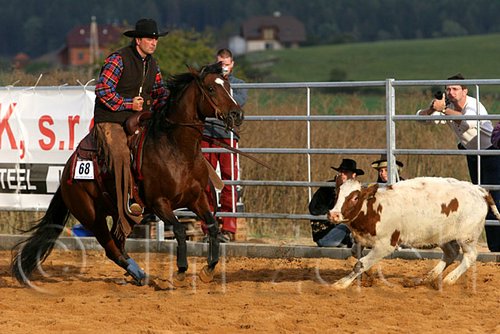 QH062_1336n.jpg