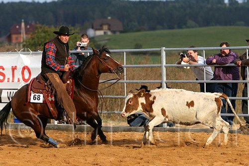 QH062_1338n.jpg