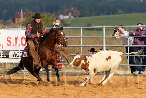 QH062_1339n.jpg