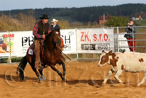 QH062_1342n.jpg