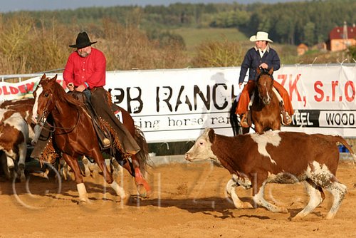 QH062_1361n.jpg