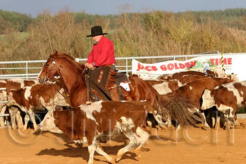 QH062_1362n.jpg