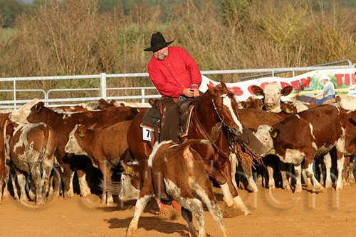 QH062_1365n.jpg