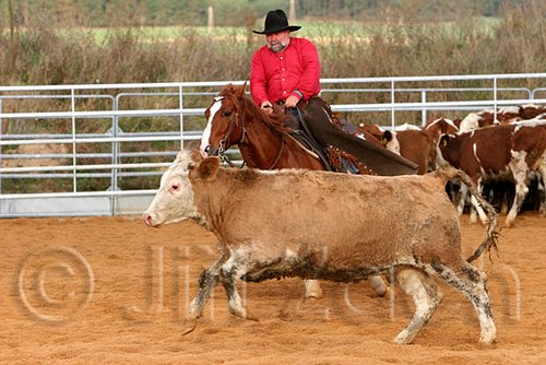 QH062_1370n.jpg