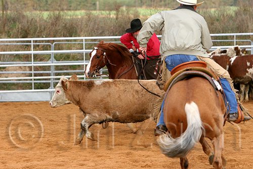 QH062_1372n.jpg