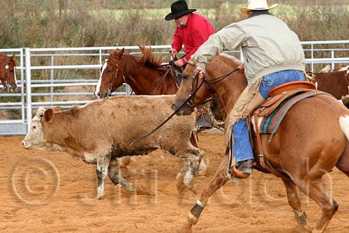 QH062_1373n.jpg