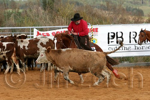 QH062_1378n.jpg