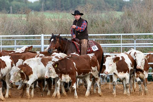 QH062_1379n.jpg