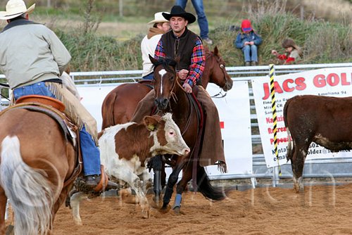 QH062_1383n.jpg