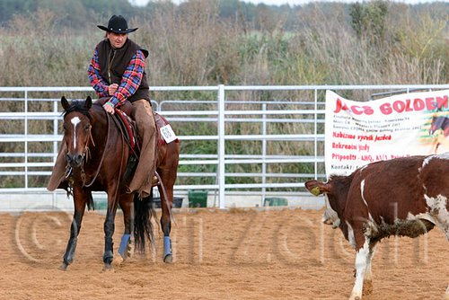 QH062_1385n.jpg